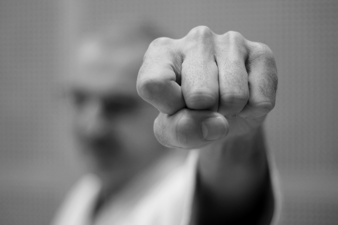 Estabilidad y potencia en Kata: La preparación física detrás del Kime perfecto karate, fist, battle, martial arts, self defense, mma, sports, monochrome, karate, karate, karate, karate, karate, fist, martial arts, mma, mma